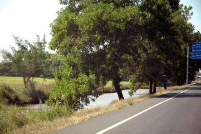 CAMPO (38)  LABRANZA